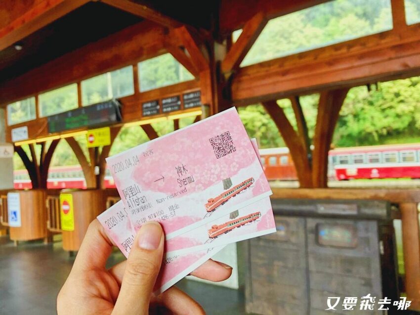 【嘉義阿里山懶人包】阿里山13大景點總整理！巨木群棧道、鹿林神木、姊妹潭，吸收芬多精絕佳景點，好山好水好愜意！ - 又要飛去哪！？