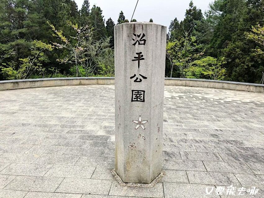 【嘉義阿里山懶人包】阿里山13大景點總整理！巨木群棧道、鹿林神木、姊妹潭，吸收芬多精絕佳景點，好山好水好愜意！ - 又要飛去哪！？