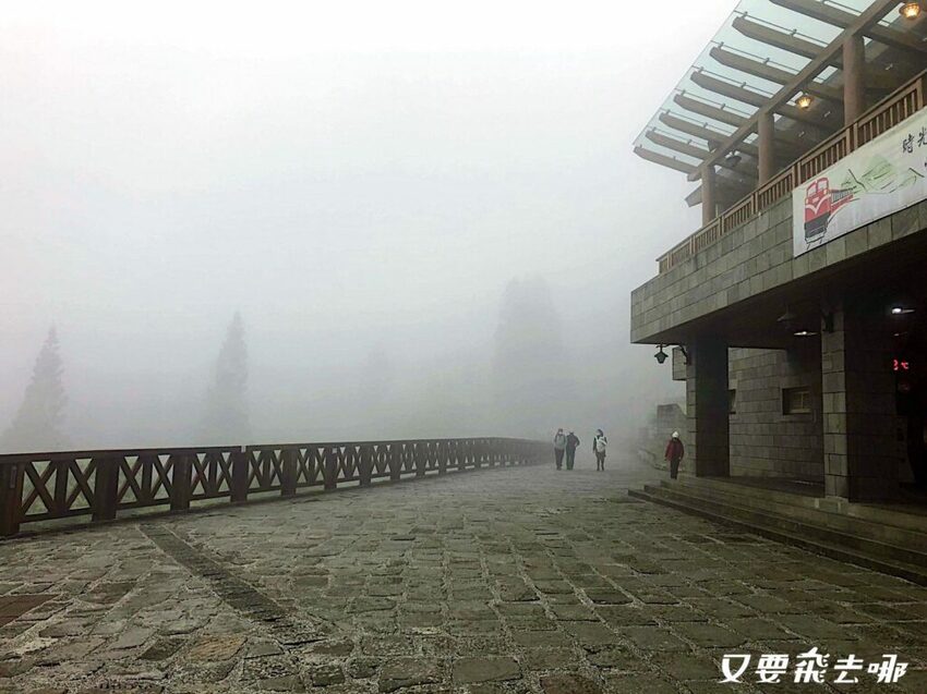 【嘉義阿里山懶人包】阿里山13大景點總整理！巨木群棧道、鹿林神木、姊妹潭，吸收芬多精絕佳景點，好山好水好愜意！ - 又要飛去哪！？