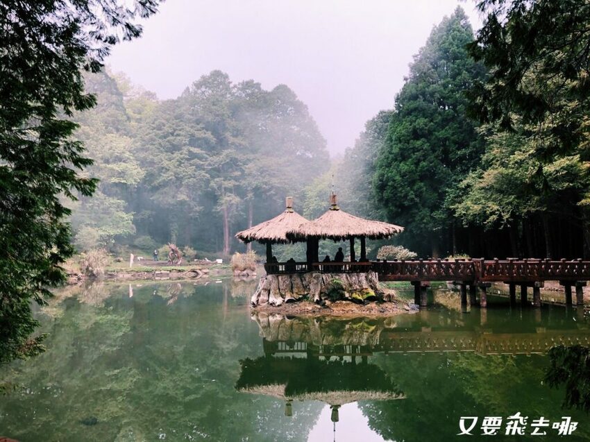 【嘉義阿里山懶人包】阿里山13大景點總整理！巨木群棧道、鹿林神木、姊妹潭，吸收芬多精絕佳景點，好山好水好愜意！ - 又要飛去哪！？