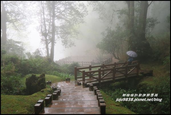 阿里山66.JPG