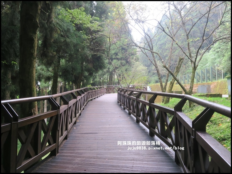 阿里山41.JPG