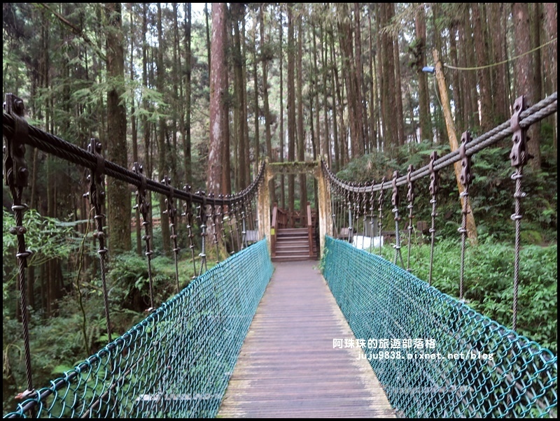 阿里山53.JPG