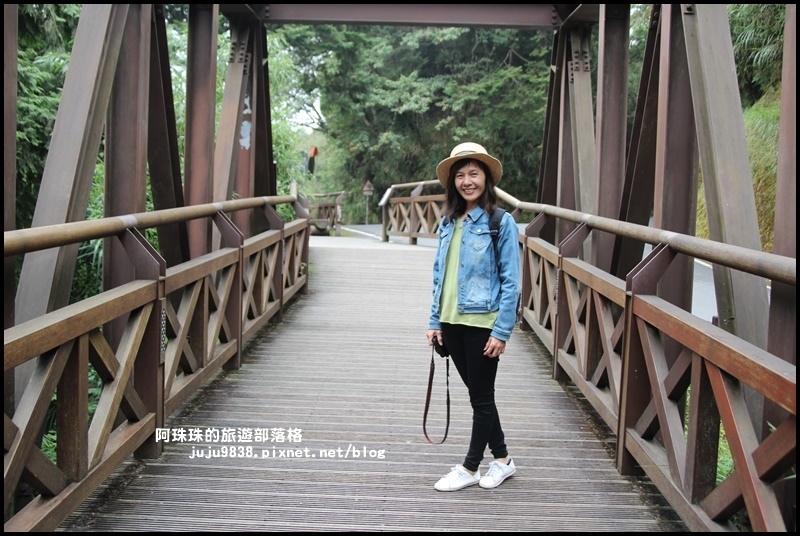 阿里山10.JPG