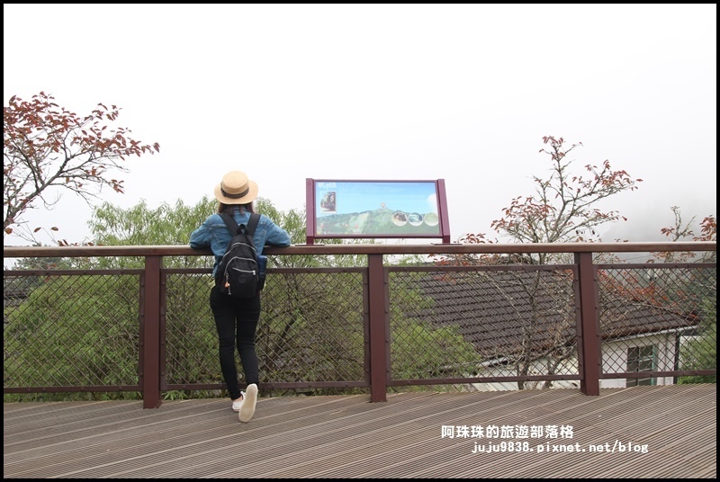 阿里山8.JPG