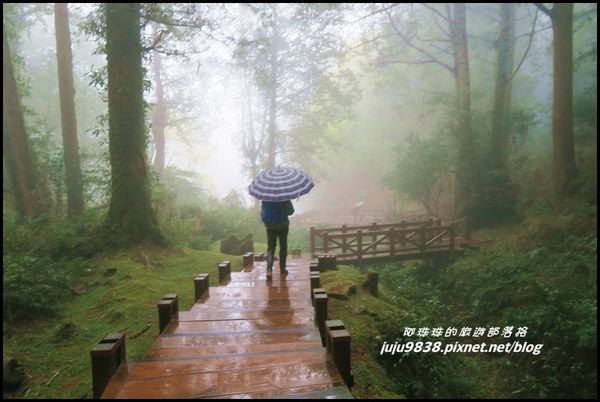 阿里山65.JPG