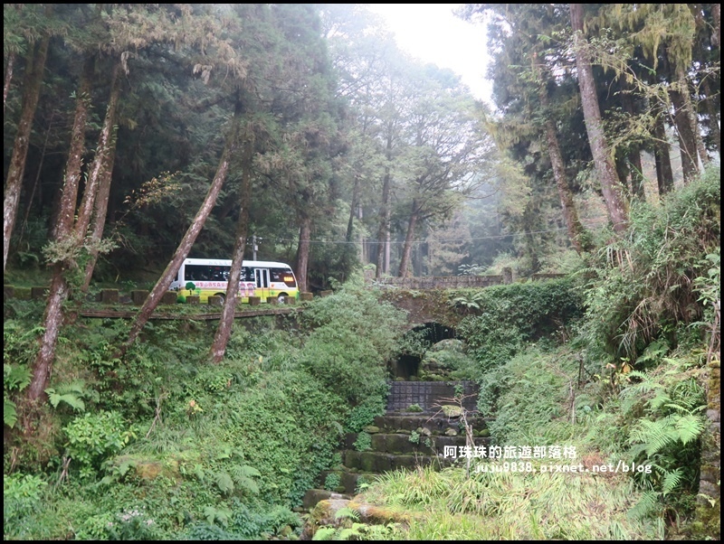 阿里山62.JPG