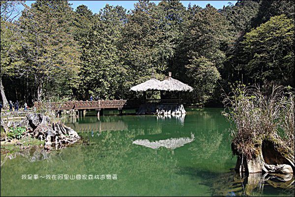 阿里山國家森林遊樂區33.jpg