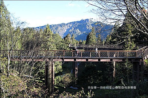 阿里山國家森林遊樂區09.jpg