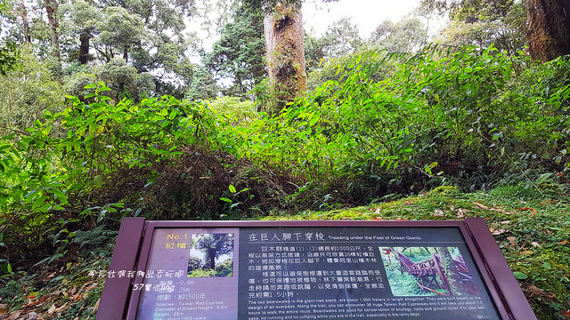 20171217_115451_副本