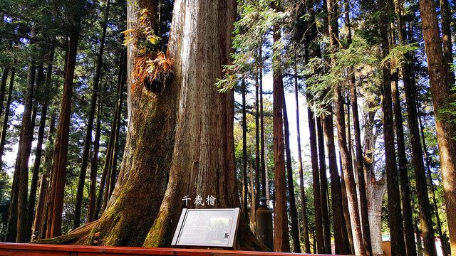 20171217_110914_副本