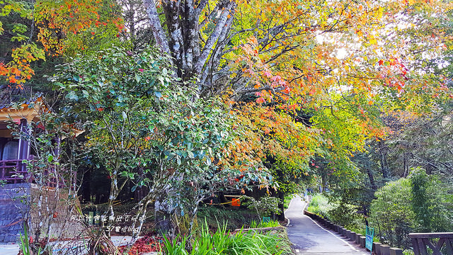 20171217_105134_副本