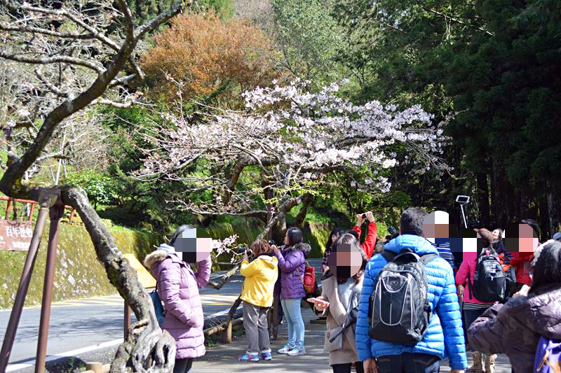 DSC_0260 (Copy)_mh1459158133976.jpg