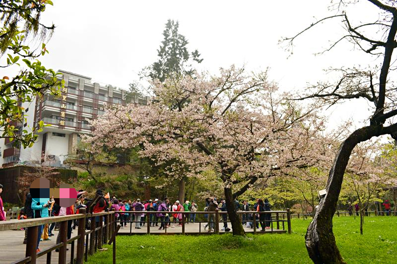 DSC_0157 (Copy)_mh1459158186104.jpg