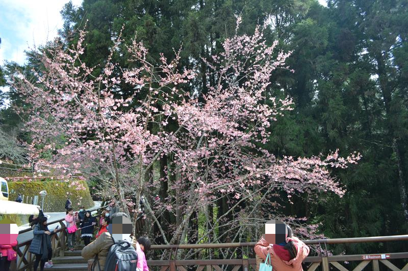 DSC_0235 (Copy)_mh1459158149425.jpg