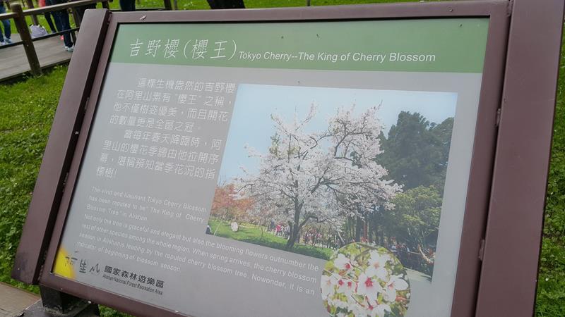 20160326_141035 (Copy).jpg