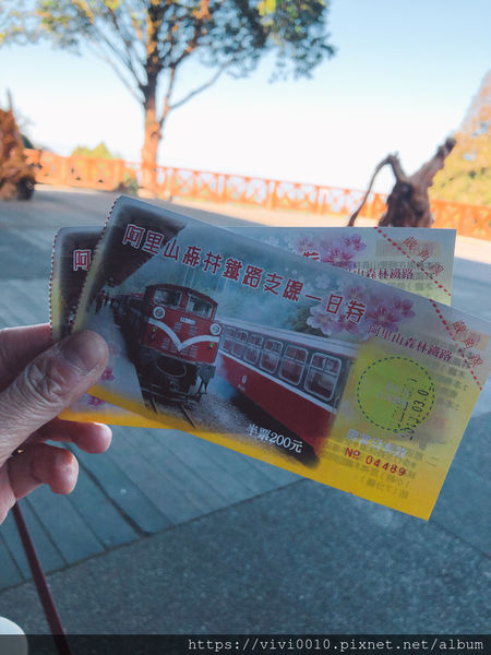 圓圓家出去玩-《嘉義景點》2019阿里山櫻花季3.9~4.10正式開鑼，小火車搭乘攻略、交通資訊通通在這裡