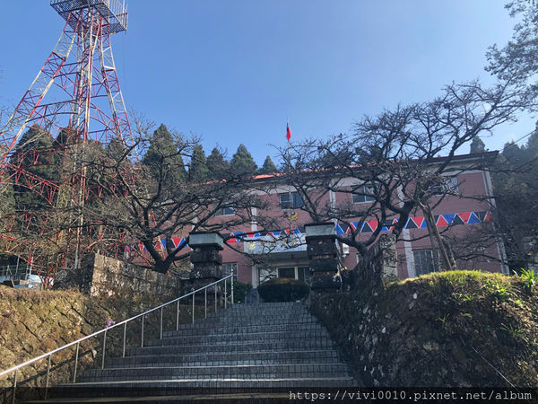 圓圓家出去玩-《嘉義景點》2019阿里山櫻花季3.9~4.10正式開鑼，小火車搭乘攻略、交通資訊通通在這裡