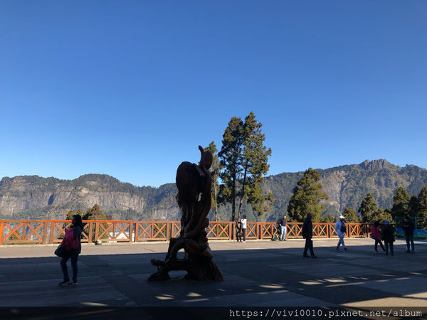 圓圓家出去玩-《嘉義景點》2019阿里山櫻花季3.9~4.10正式開鑼，小火車搭乘攻略、交通資訊通通在這裡