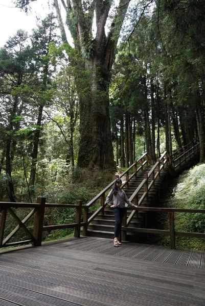 11666104_436779216493510_4729203012164040620_n