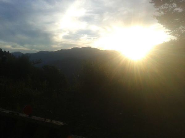 11061661_436774366493995_1091552670242704058_n