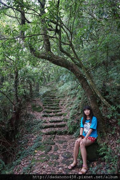 11701160_436779603160138_6737806665901820367_n