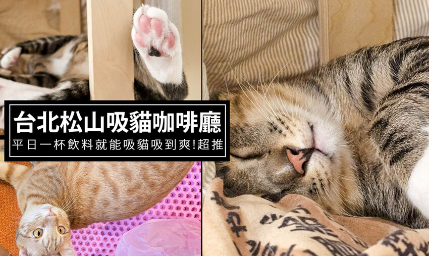 台北市文山區木柵文山區老店-鵝肉世家，眾多藝人明星都來吃!一定要切一盤煙燻鵝肉，肉質軟嫩彈牙真的很棒