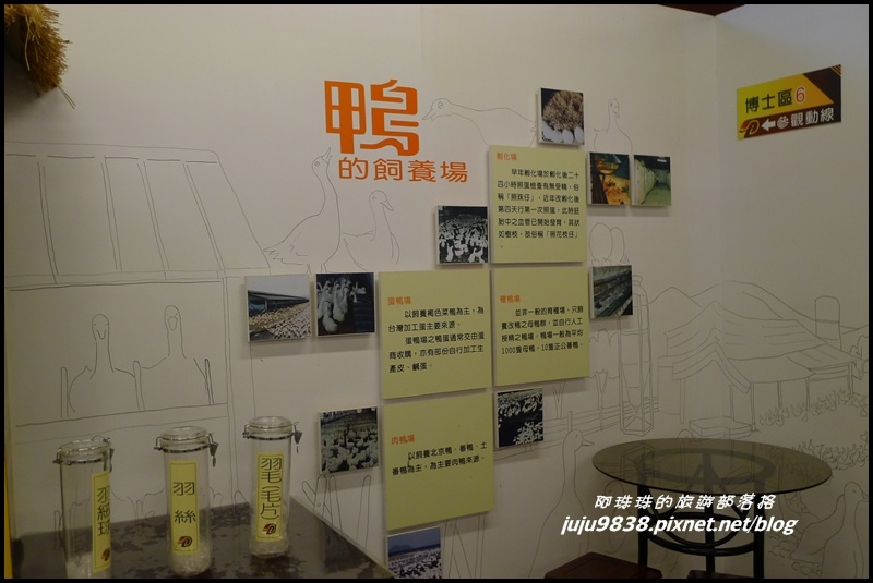 鴨博士12.JPG