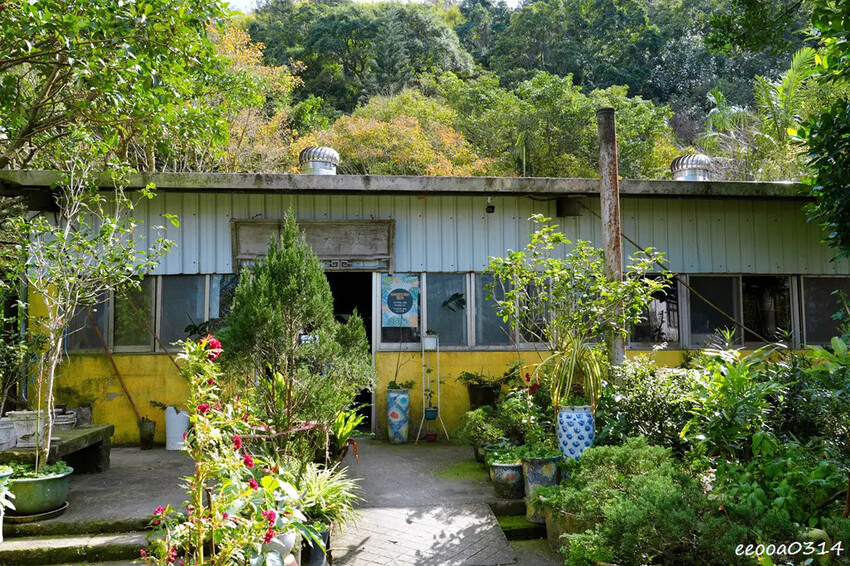 木柵山林祕境土雞城「 猴山岳土雞城」，招牌三杯茶葉雞、放山白