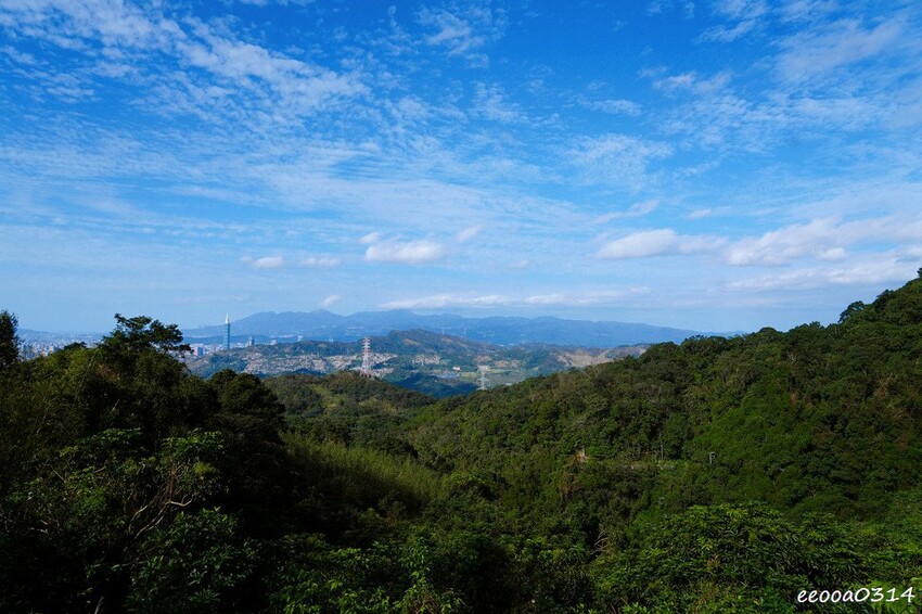 木柵山林祕境土雞城「 猴山岳土雞城」，招牌三杯茶葉雞、放山白