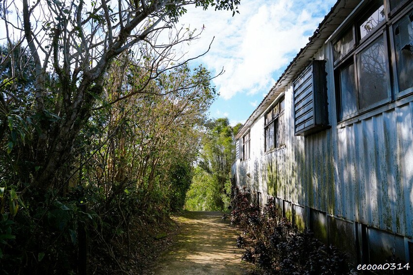 木柵山林祕境土雞城「 猴山岳土雞城」，招牌三杯茶葉雞、放山白