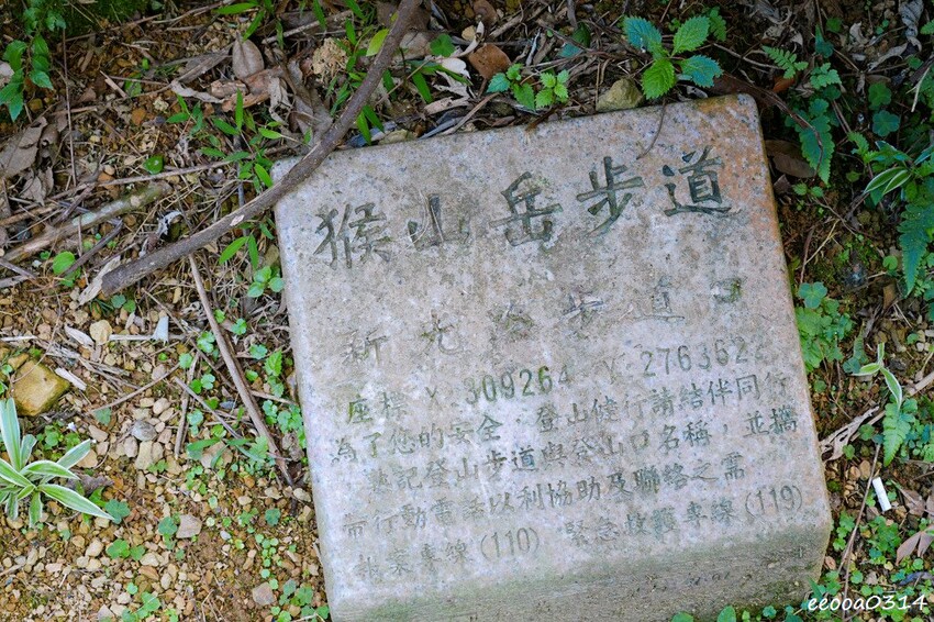 木柵山林祕境土雞城「 猴山岳土雞城」，招牌三杯茶葉雞、放山白