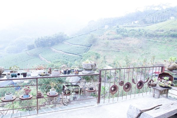 阿將的家23咖啡館 - 11