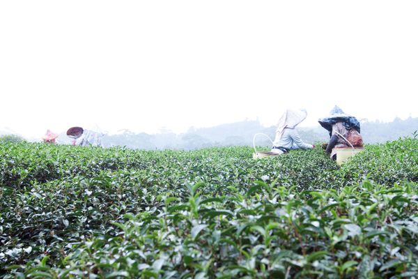 阿將的家23咖啡館 - 37