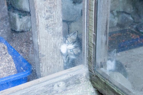 阿將的家23咖啡館 - 27