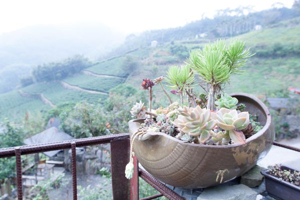 阿將的家23咖啡館 - 16