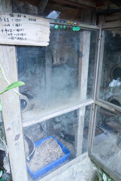 阿將的家23咖啡館 - 25