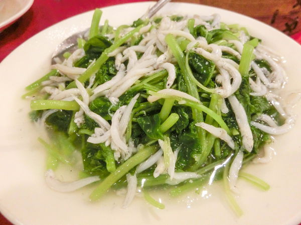 富順樓 - 若要再訪得先等小熊拿冠軍