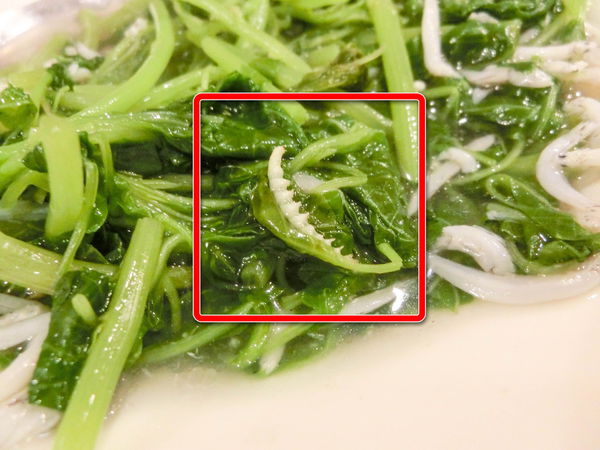 富順樓 - 若要再訪得先等小熊拿冠軍