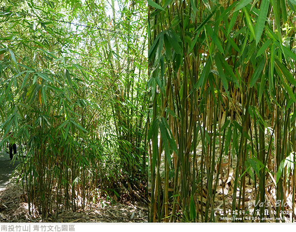 青竹文化園區-36.jpg