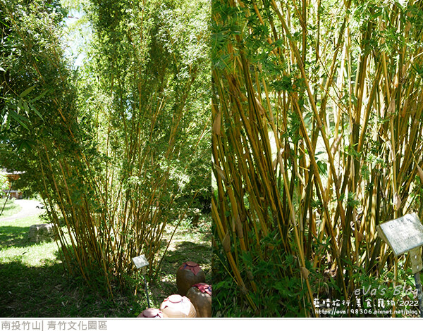 青竹文化園區-35.jpg