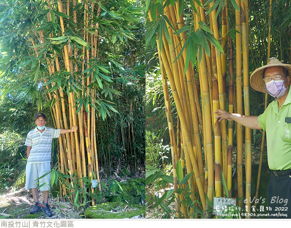 青竹文化園區-38.jpg