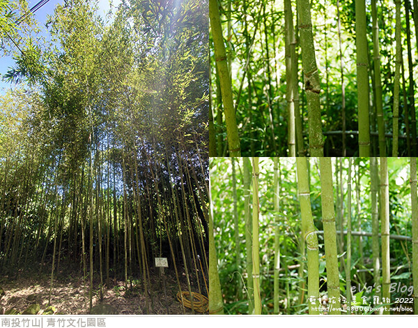 青竹文化園區-31.jpg
