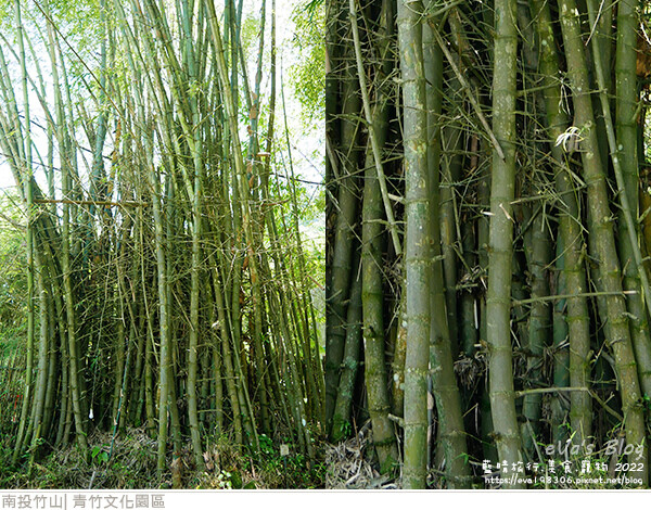 青竹文化園區-39.jpg