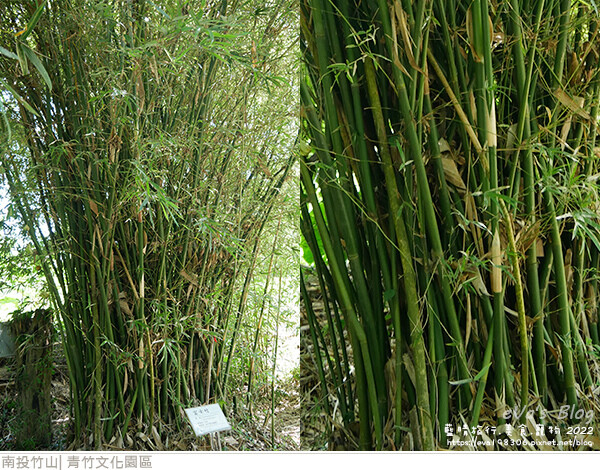 青竹文化園區-33.jpg
