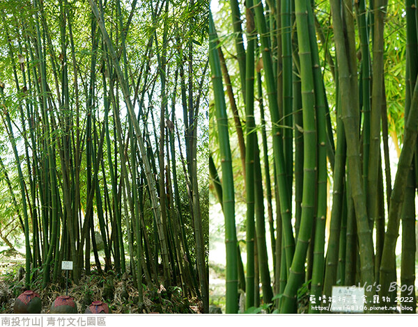 青竹文化園區-34.jpg