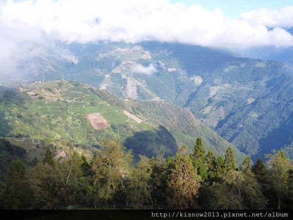 清境農場：青青草原的綿羊秀與高空觀景步道的山巒美景-秋高氣爽來一趟清境農場小旅行