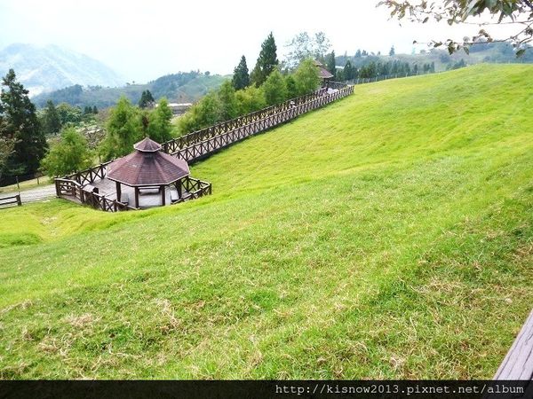 清境農場：青青草原的綿羊秀與高空觀景步道的山巒美景-秋高氣爽來一趟清境農場小旅行