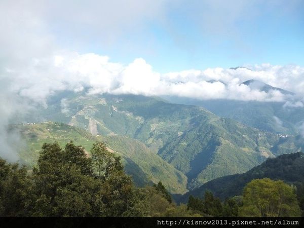 清境農場：青青草原的綿羊秀與高空觀景步道的山巒美景-秋高氣爽來一趟清境農場小旅行