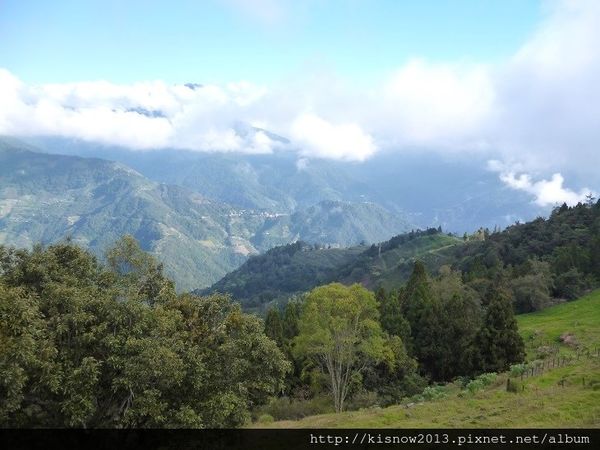 清境農場：青青草原的綿羊秀與高空觀景步道的山巒美景-秋高氣爽來一趟清境農場小旅行